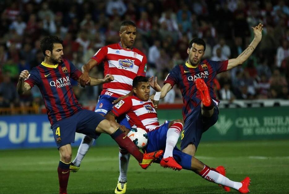 群体效应 群体效应